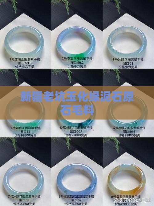 新疆老坑玉化绿泥石原石毛料