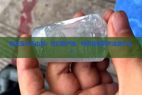 独龙玉与天山翠：它们的产地、特点及鉴别方法是什么？