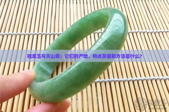 独龙玉与天山翠：它们的产地、特点及鉴别方法是什么？