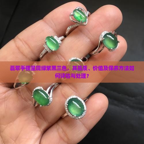 翡翠手镯呈现绿紫黑三色，其品质、价值及保养方法如何评估与处理？