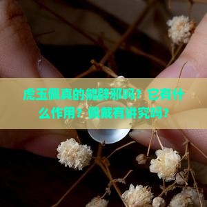 虎玉佩真的能辟邪吗？它有什么作用？佩戴有讲究吗？