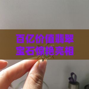 百亿价值翡翠宝石惊艳亮相