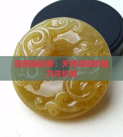 田阳绿翡翠：天然翡翠的魅力与价值