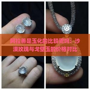 阿拉善是玉化的比较贵吗：沙漠玫瑰与戈壁玉的价格对比