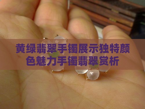 黄绿翡翠手镯展示独特颜色魅力手镯翡翠赏析