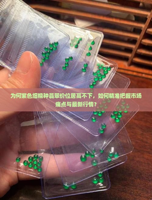 为何紫色细糯种翡翠价位居高不下，如何精准把握市场痛点与最新行情？