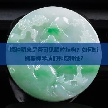 糯种稻米是否可见颗粒结构？如何辨别糯种米质的颗粒特征？