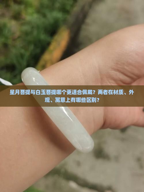 星月菩提与白玉菩提哪个更适合佩戴？两者在材质、外观、寓意上有哪些区别？