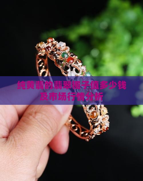 纯黄翡的翡翠镯子值多少钱及市场行情分析