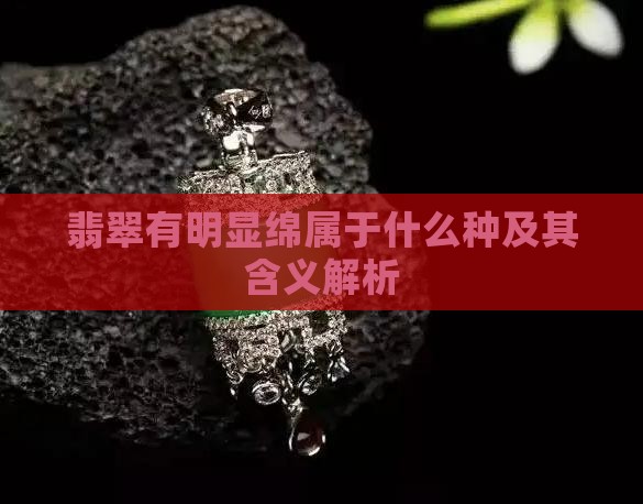 翡翠有明显绵属于什么种及其含义解析