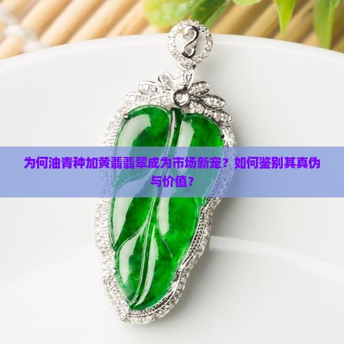 为何油青种加黄翡翡翠成为市场新宠？如何鉴别其真伪与价值？