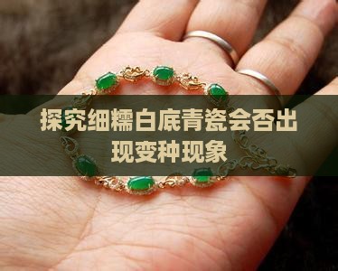 探究细糯白底青瓷会否出现变种现象