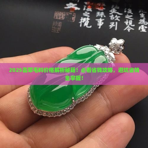 看翡翠毛料价格的软件