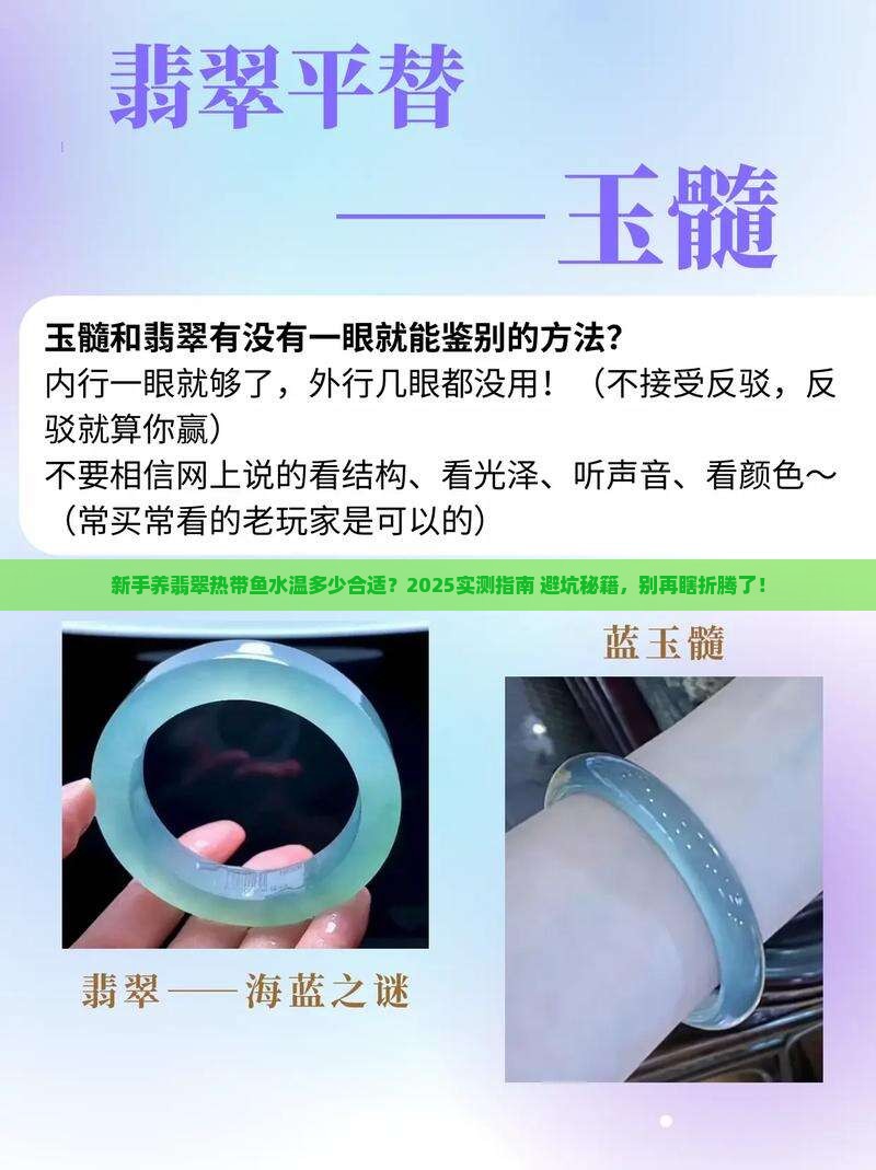 翡翠热带鱼水温多少
