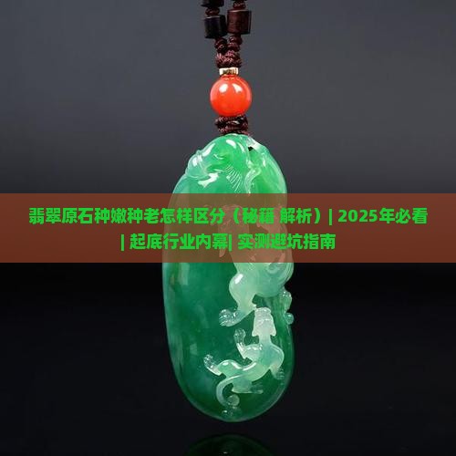 翡翠原石种嫩种老怎样区分
