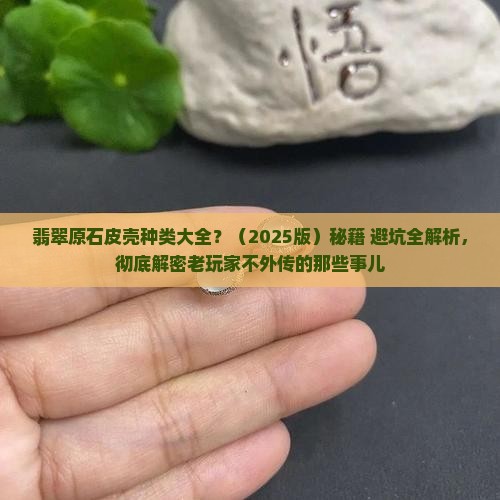 翡翠原石皮壳种类大全