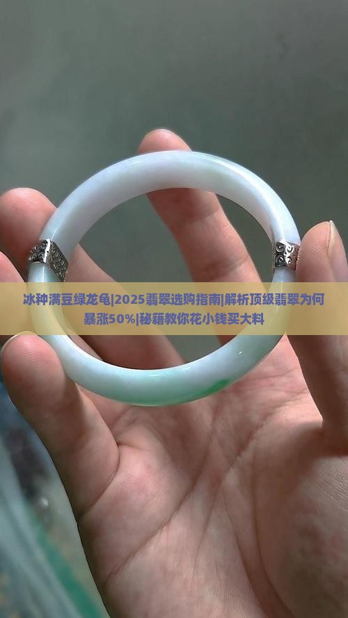 冰种满豆绿龙龟