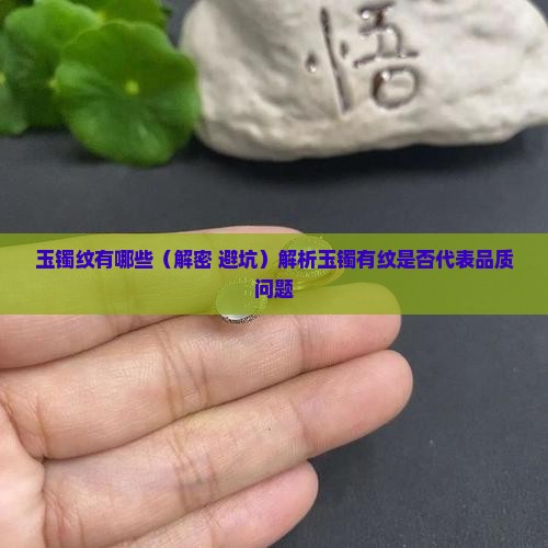 玉镯纹有哪些