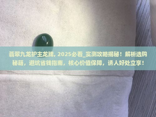 翡翠九龙护主龙牌