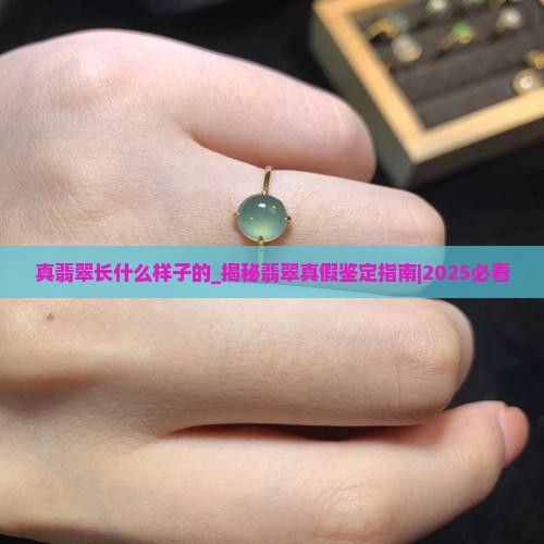真翡翠长什么样子的