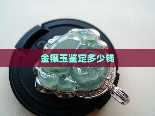 金镶玉鉴定多少钱