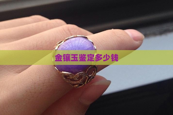 金镶玉鉴定多少钱
