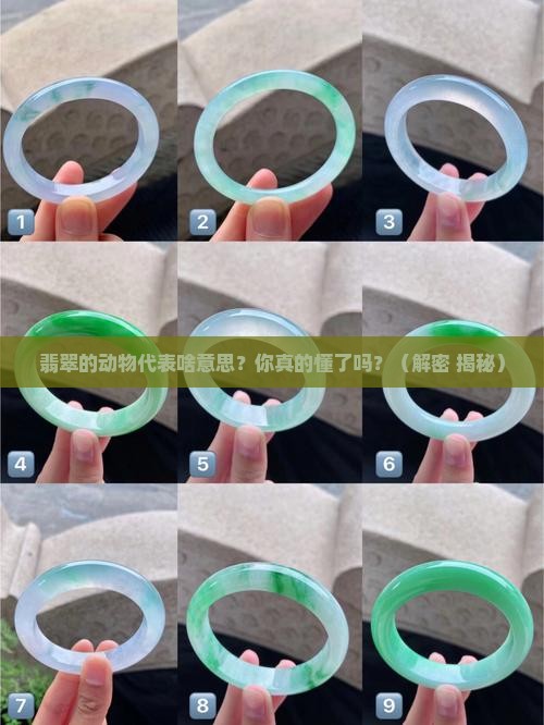 翡翠的动物代表什么意思
