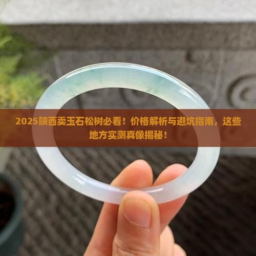 陕西卖玉石松树的地方