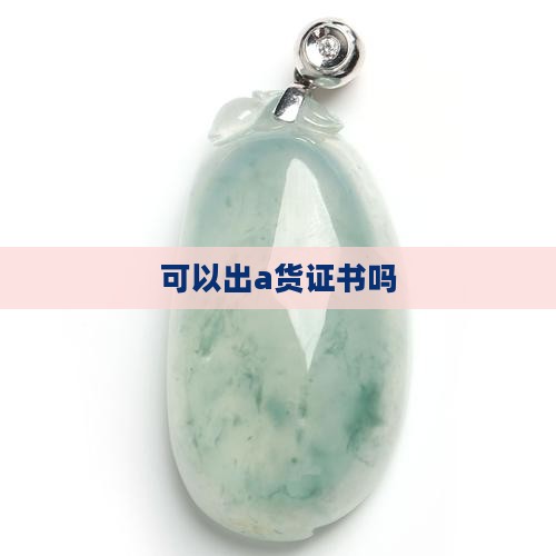可以出a货证书吗