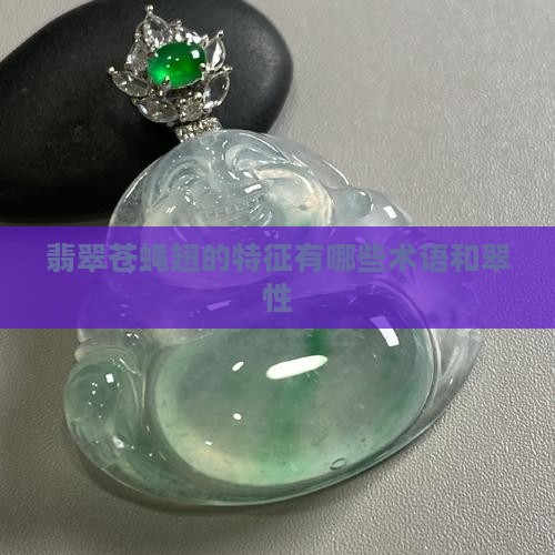 翡翠苍蝇翅的特征有哪些