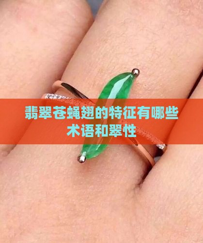 翡翠苍蝇翅的特征有哪些