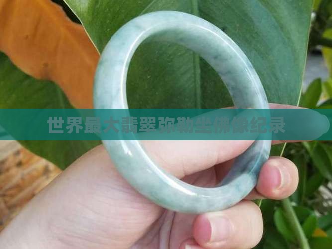 世界上最大翡翠坐佛像