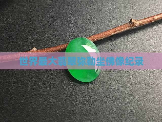 世界上最大翡翠坐佛像