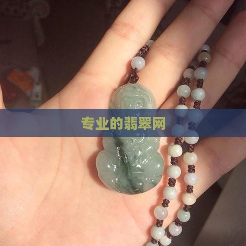 专业的翡翠网
