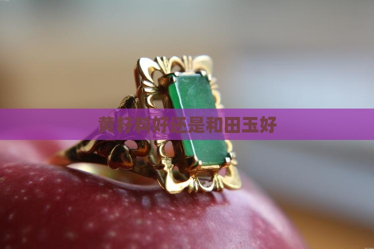 黄籽料好还是和田玉好