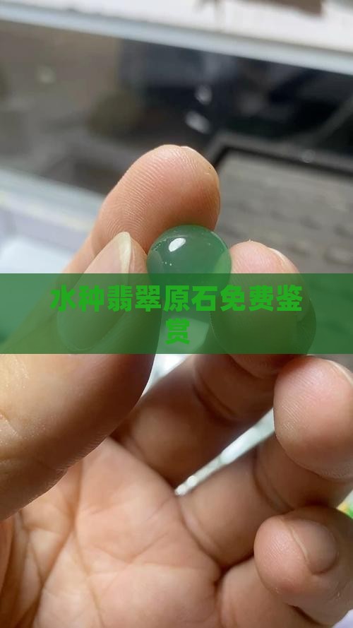 水种翡翠原石免费鉴赏