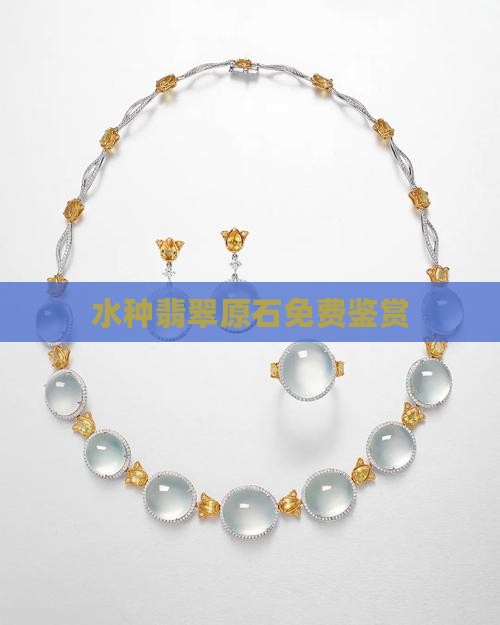 水种翡翠原石免费鉴赏
