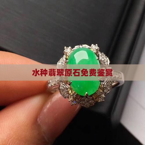水种翡翠原石免费鉴赏
