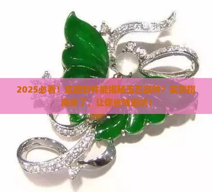 能识别玉石的品种的软件