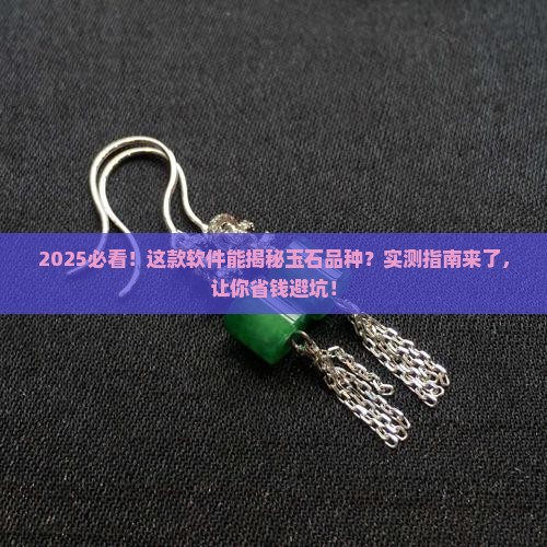 能识别玉石的品种的软件