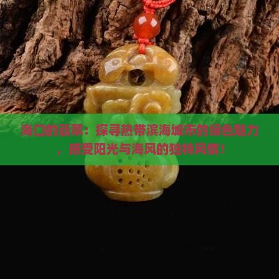 海口的翡翠 海口的翡翠