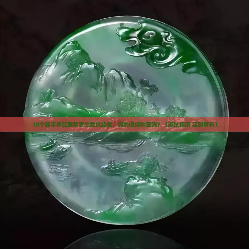 翡翠紫罗兰种草好不好养