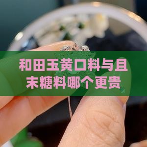 和田玉黄口料和且末糖料哪个贵