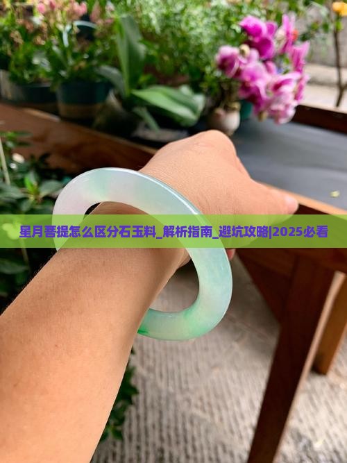 星月菩提怎么区分石玉料
