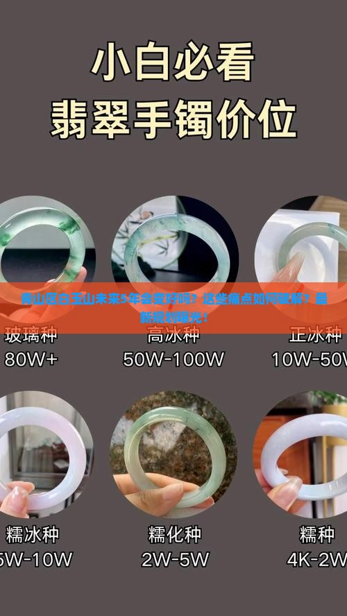 青山区白玉山未来5年规划