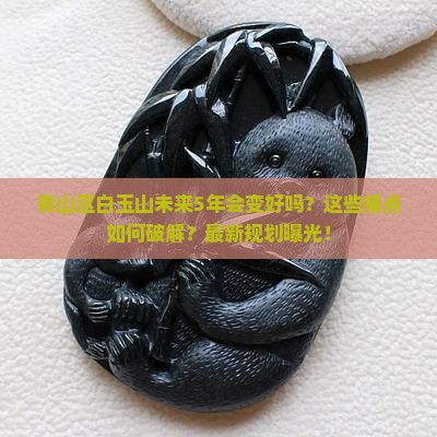 青山区白玉山未来5年规划