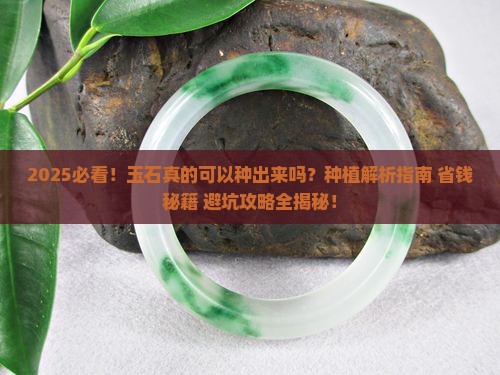 玉石可以种出来吗