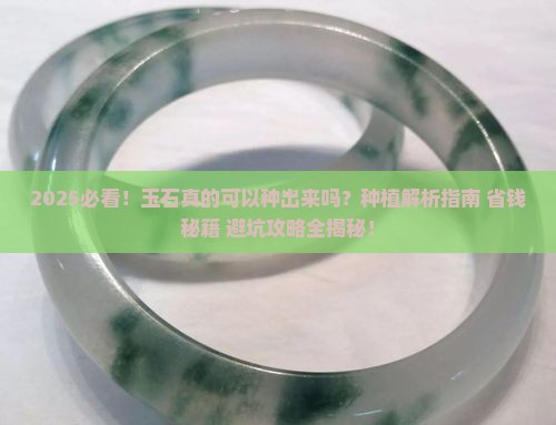 玉石可以种出来吗