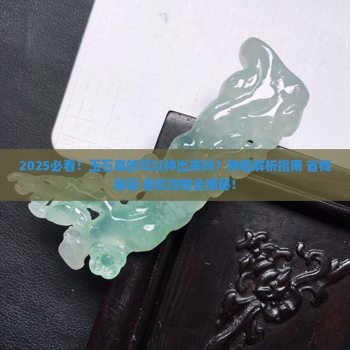 玉石可以种出来吗