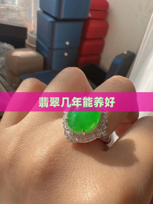 翡翠几年能养好